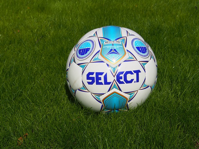 的大幅增长 的大幅增长