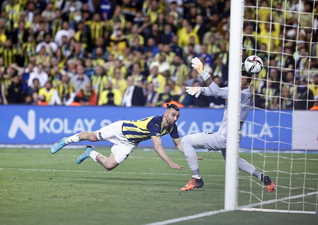 如何合理安 如何合理安