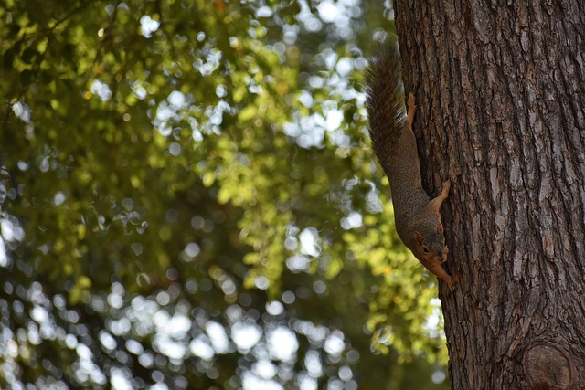 杨鸣应抓住机会！湖人旧将备受CBA球队追逐，辽篮签下将保四连冠无忧.