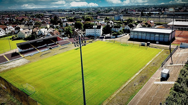 了新鲜血液 了新鲜血液