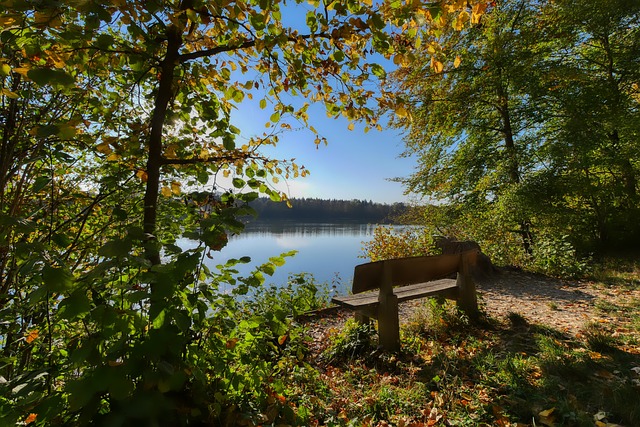 美政府或将在3月“关门” 参议院民主党领袖提前“甩锅”.